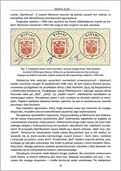 Biuletyn Tematyk 31 - str. 55